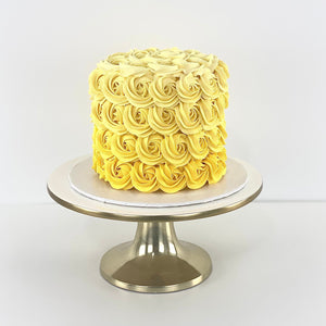 Ombre' Rosettes Cake