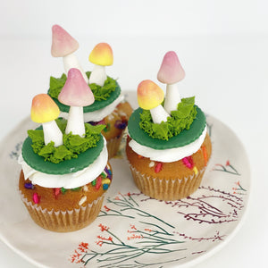 Mushroom Cupcakes