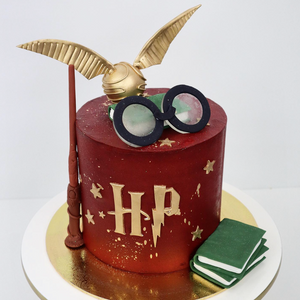 Harry the magician Cake